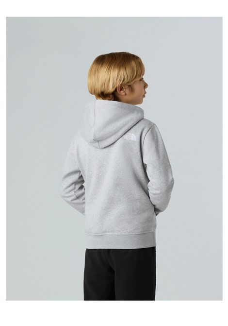 The North face Drew Peak Hoodie Grey Junior THE NORTH FACE | Sweatshirts | NF0A8EHH-DYX